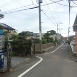 ダンデリオン - 道で・・・・