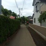 ダンデリオン - 合っているのだろうか(^^;)