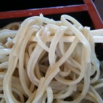 そばのはせ川屋 - 二色合盛り天ざる大盛り￥1650の二八蕎麦（H28.4.25撮影）