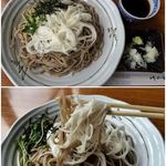 山法師 - 