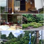 山法師 - 