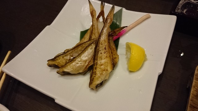 閉店 稲田屋 新宿店 いなたや 新宿西口 居酒屋 食べログ