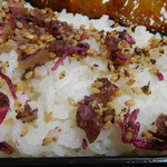 Sakana Douraku Tomi Sou - 梅しらすご飯