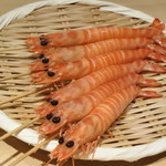 こま田 - 2016.06　伊勢湾車エビ