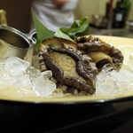 銀座うかい亭 - 