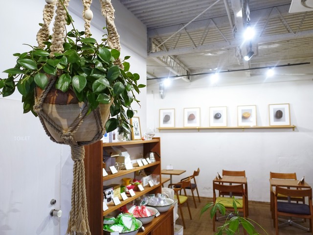 HIROFUMI FUJITA COFFEE photo 4