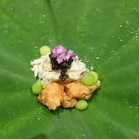 小熊 - 