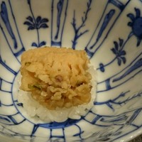 小熊 - 