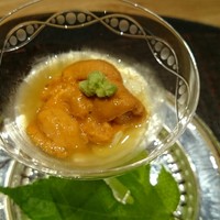小熊 - 