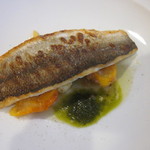 サラマンジェ ド ヨシノ - 佐島の大カマス、下にはお野菜沢山。ほんのりコリアンダー風味のバジルソースでいただきます。ちなみにこれ前菜ですからね。。