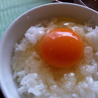 杜氏賛歌 - 玉子かけご飯