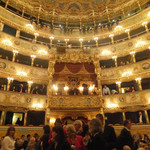 Vino Vino - 絢爛豪華なフェニーチェ劇場