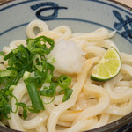 Miyatake Sanuki Udon - 生醤油（大：450円）