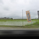 喜蕎 - のんびり。