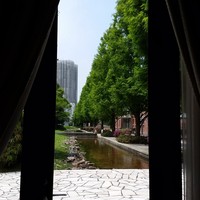 レストラン キルン - 店内からの風景