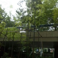 麓屋 京王プラザホテル - 