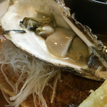 金太郎鮨 - 岩牡蠣
