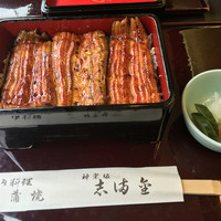 かぐら坂 志満金 - 