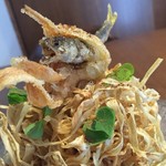 ル スプートニク - 