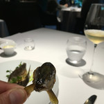 レフェルヴェソンス - 