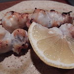 桜川 - 烏賊のトンビ口