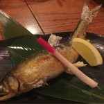 与太呂 - 頭から尻尾まで食べられる鮎の塩焼き！