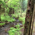 二期倶楽部 - 癒しパワーあふれる、二期の森