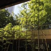 麓屋 京王プラザホテル - カウンターからのながめは新宿らしからぬ景色