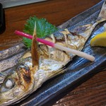 旬魚菜 しら川 - 地アジ塩焼き　脂があって美味しかった