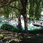 Faultline Brewing Company - 裏の池