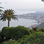 Les Bougainvillées - 