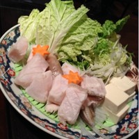 土佐料理 祢保希 新宿店 - クエ鍋