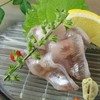 季節料理 花わさび - 料理写真: