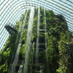 SWEET SPOT - ガーデンズバイザベイ　　クラウドフォレスト