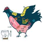 熊の焼鳥106 - 鶏の部位