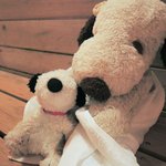 萩本陣 - じゃあそろそろあがろうか。
      ちびつぬを拭いてあげるつぬっこちゃん。
      お風呂に入ってさっぱりしたね。
      このあとはお楽しみの夕食の時間だよ！！
      温泉に入った後はダイニングに移動して夕食を頂きます。