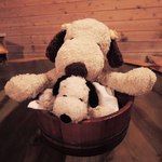 萩本陣 - 【注】 ぬいぐるみ生命をかけた撮影です！ 