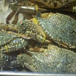 Poo Dam Restaurant - 