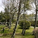 ピッツェリア　ラ・ロカンダ・デル・ピットーレ - 中からの景色