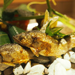 弧玖 - 稚鮎
      「2016.07撮影」