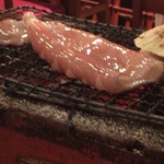 魚がし酒場 魚せん - いか