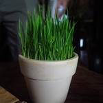 Hoi An Roastery - 店内の雰囲気