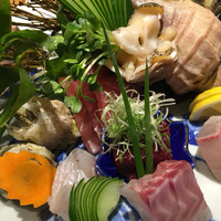 吉祥寺 三うら - 刺し盛り8種。鮮やか！
