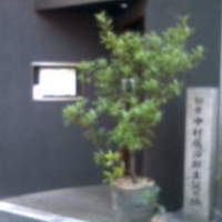 コンヴィヴィアリテ - 
