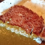 瀬戸の坊ったん - カレールーとめしマウンテンの境界線に陣取るかつ！