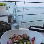 青木農園産　
          三浦野菜のグリーンサラダ