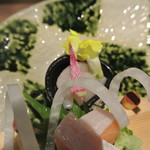 日本料理 潤花 - お造り　帆立貝