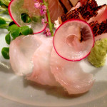 和だん  夢心邸 - お造り：カサゴ