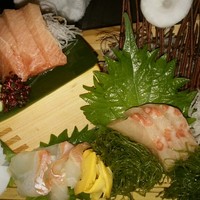 宇田川 紫扇 - 