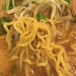 飛騨の高山らーめん - 麺